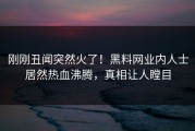 刚刚丑闻突然火了！黑料网业内人士居然热血沸腾，真相让人瞠目