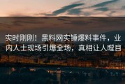 实时刚刚！黑料网实锤爆料事件，业内人士现场引爆全场，真相让人瞠目