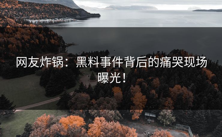 网友炸锅：黑料事件背后的痛哭现场曝光！