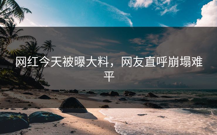 网红今天被曝大料，网友直呼崩塌难平