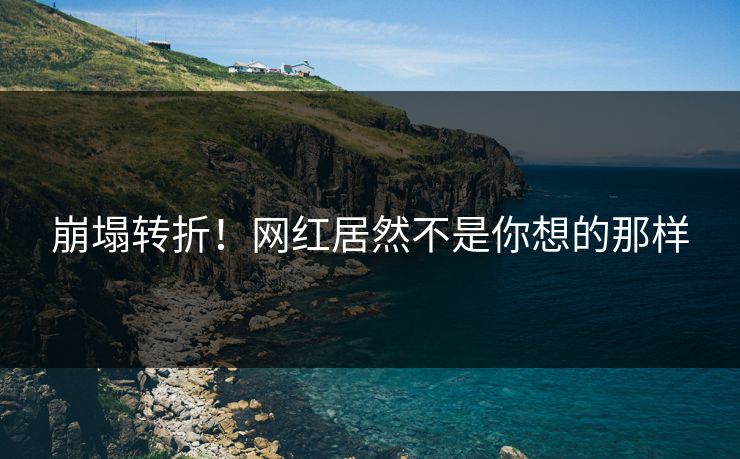 崩塌转折！网红居然不是你想的那样