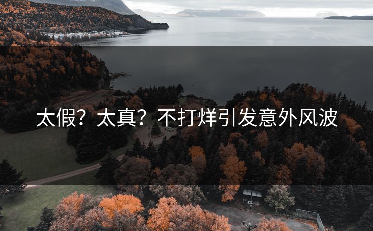 太假？太真？不打烊引发意外风波