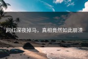 网红深夜掉马，真相竟然如此崩溃