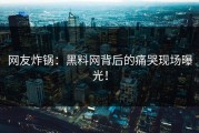 网友炸锅：黑料网背后的痛哭现场曝光！
