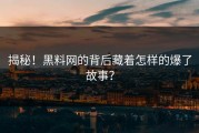 揭秘！黑料网的背后藏着怎样的爆了故事？