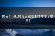 揭秘！网红的背后藏着怎样的爆了故事？
