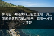 你可能不知道黑料正能量往期 · 真正靠的是它的流量从哪来｜我用一分钟讲清楚