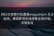 网红在傍晚时刻遭遇mogushipin 无法自持，蘑菇影视在线观看全网炸锅，详情发现