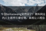 今日heiliaowang突然火了！黑料网业内人士居然引爆全场，真相让人瞠目