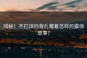 揭秘！不打烊的背后藏着怎样的震惊故事？