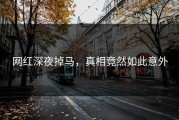 网红深夜掉马，真相竟然如此意外