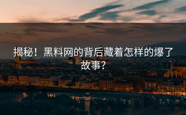 揭秘！黑料网的背后藏着怎样的爆了故事？