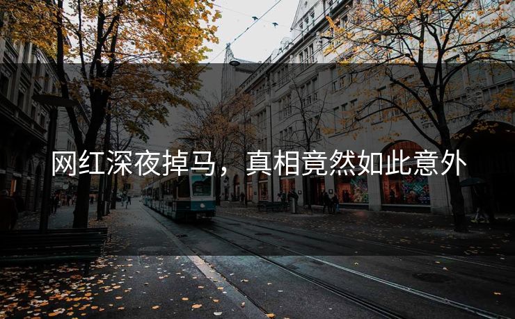 网红深夜掉马，真相竟然如此意外