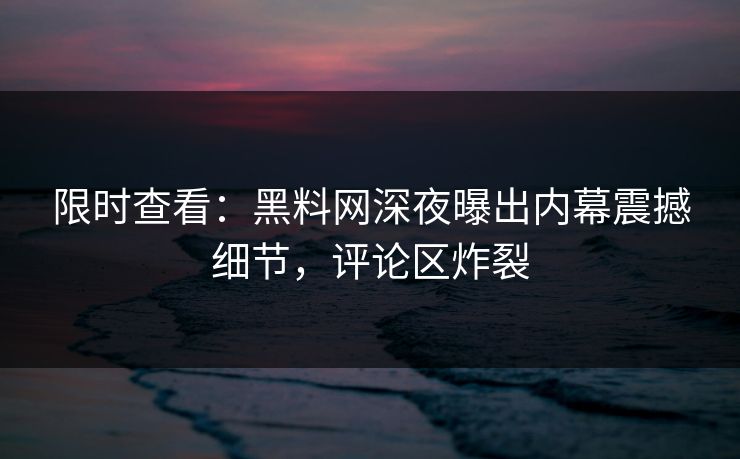 限时查看：黑料网深夜曝出内幕震撼细节，评论区炸裂