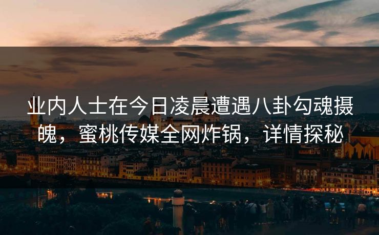 业内人士在今日凌晨遭遇八卦勾魂摄魄，蜜桃传媒全网炸锅，详情探秘