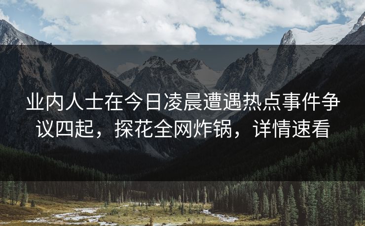 业内人士在今日凌晨遭遇热点事件争议四起，探花全网炸锅，详情速看