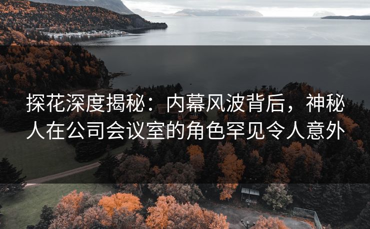 探花深度揭秘：内幕风波背后，神秘人在公司会议室的角色罕见令人意外