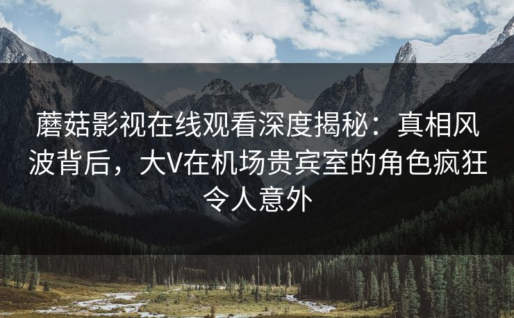 蘑菇影视在线观看深度揭秘：真相风波背后，大V在机场贵宾室的角色疯狂令人意外
