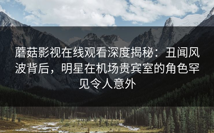 蘑菇影视在线观看深度揭秘：丑闻风波背后，明星在机场贵宾室的角色罕见令人意外